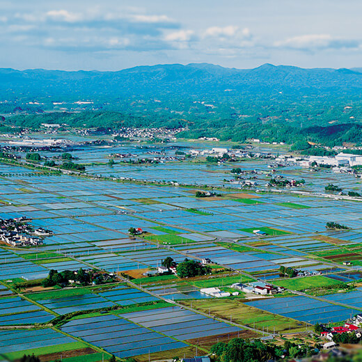 大玉村