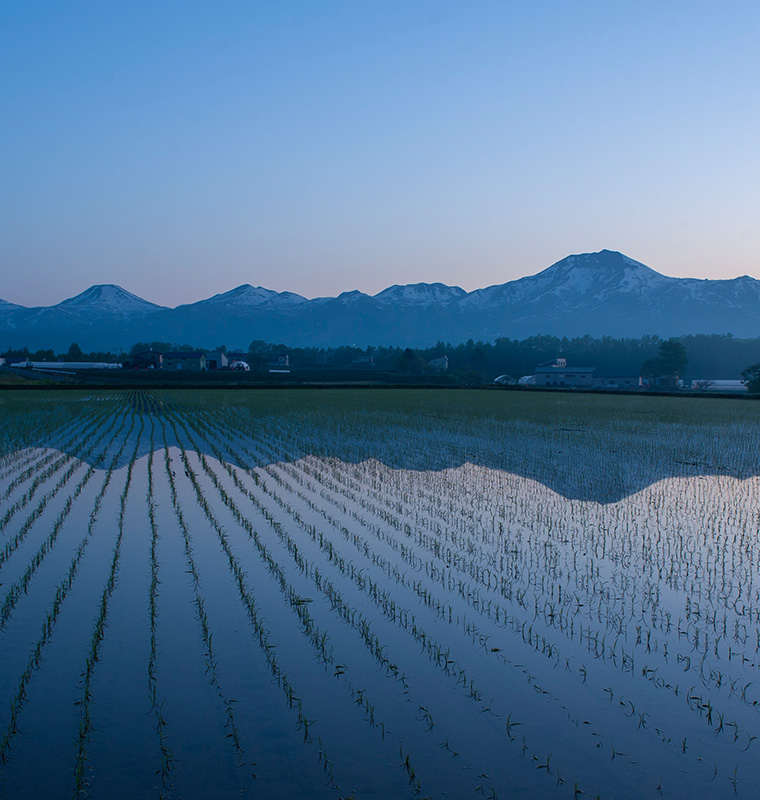 ニセコ連峰の春の田んぼ風景