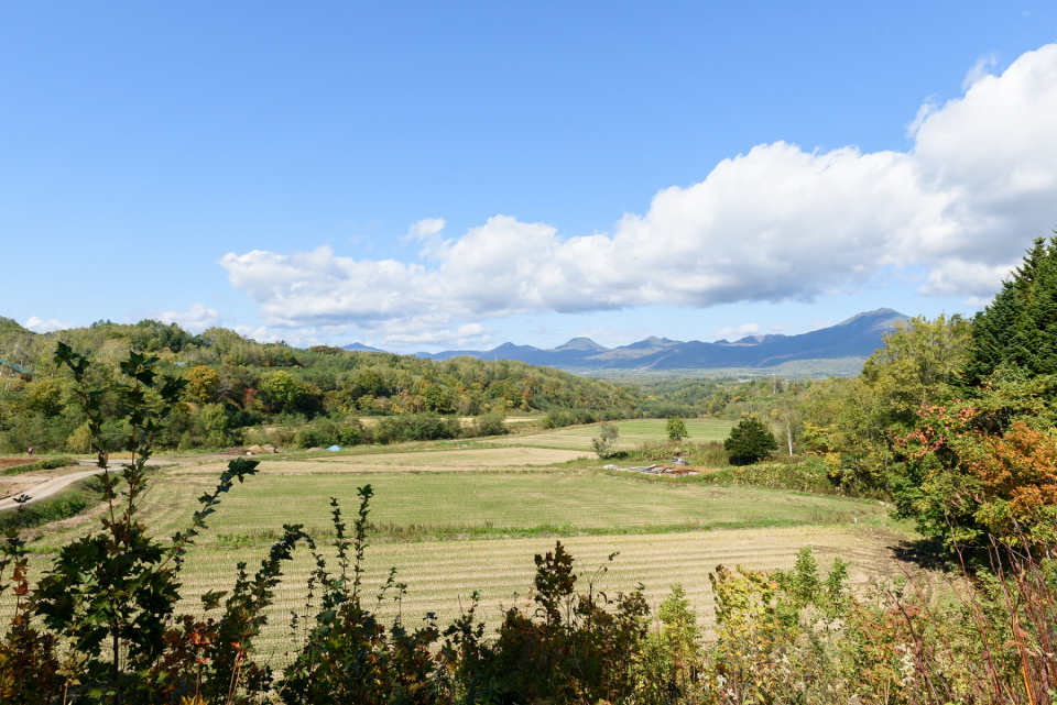 猪狩農園から望む田園風景。