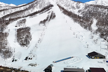ニセコモイワスキー場