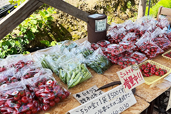 NISEKO TASTY 野菜直売所